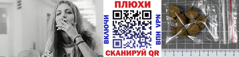 где найти   Нелидово  ГАШ Premium 