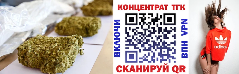 где купить   Нелидово  ТГК THC oil 