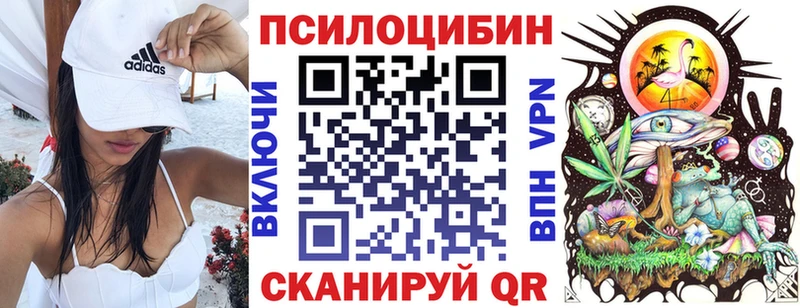 Псилоцибиновые грибы MAGIC MUSHROOMS  цена наркотик  Нелидово 